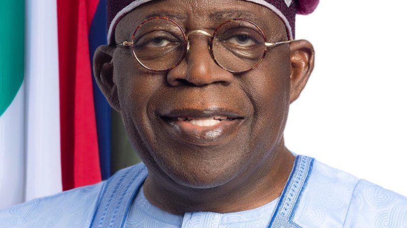 Nigeria Wins $2.35bn Mambilla Power Arbitration Case
